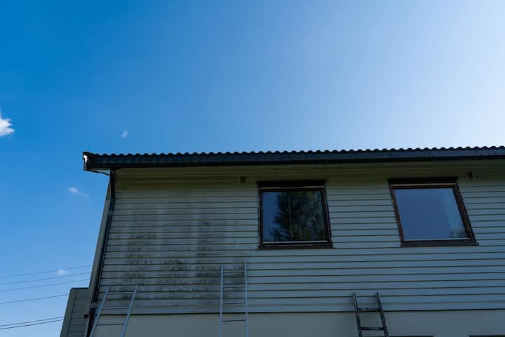 exterior mold removal services Twin Falls