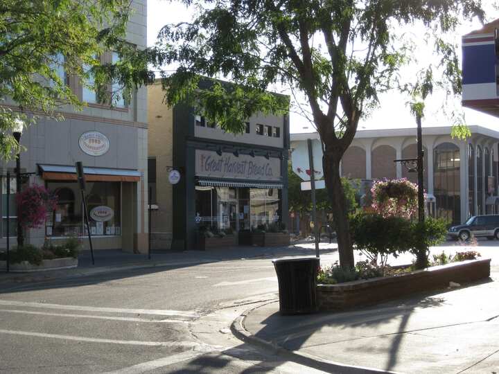 commercial mold removal services Twin Falls